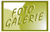 Bilder und Fotos in unserer Galerie